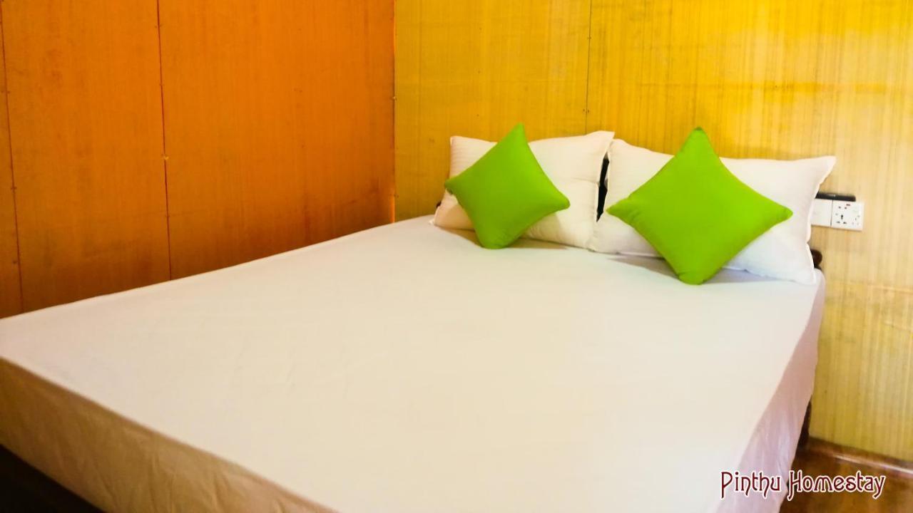 Pinthu Home Stay Sigiriya Exterior photo