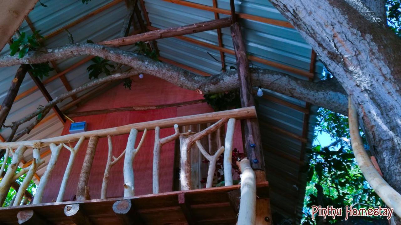 Pinthu Home Stay Sigiriya Exterior photo