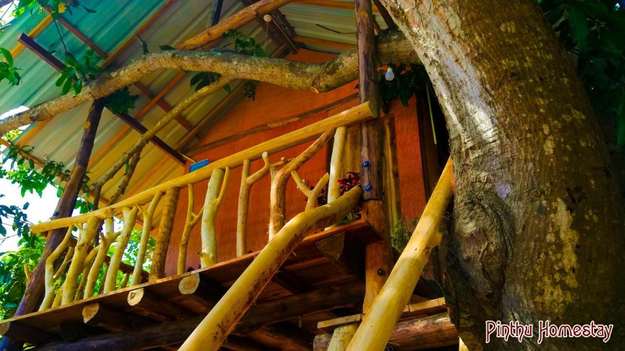 Pinthu Home Stay Sigiriya Exterior photo